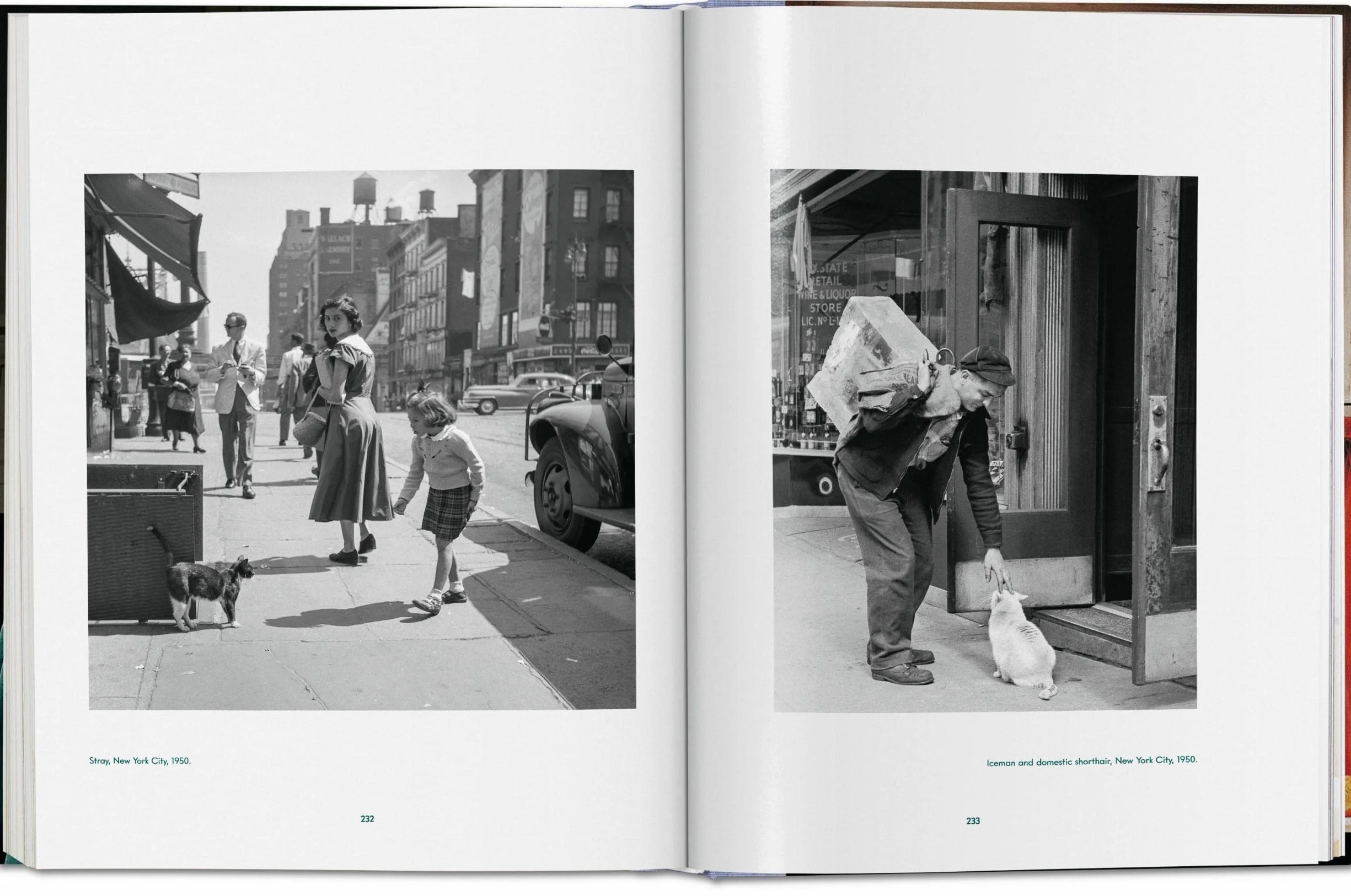 Cats: Photographs (1942-2018)