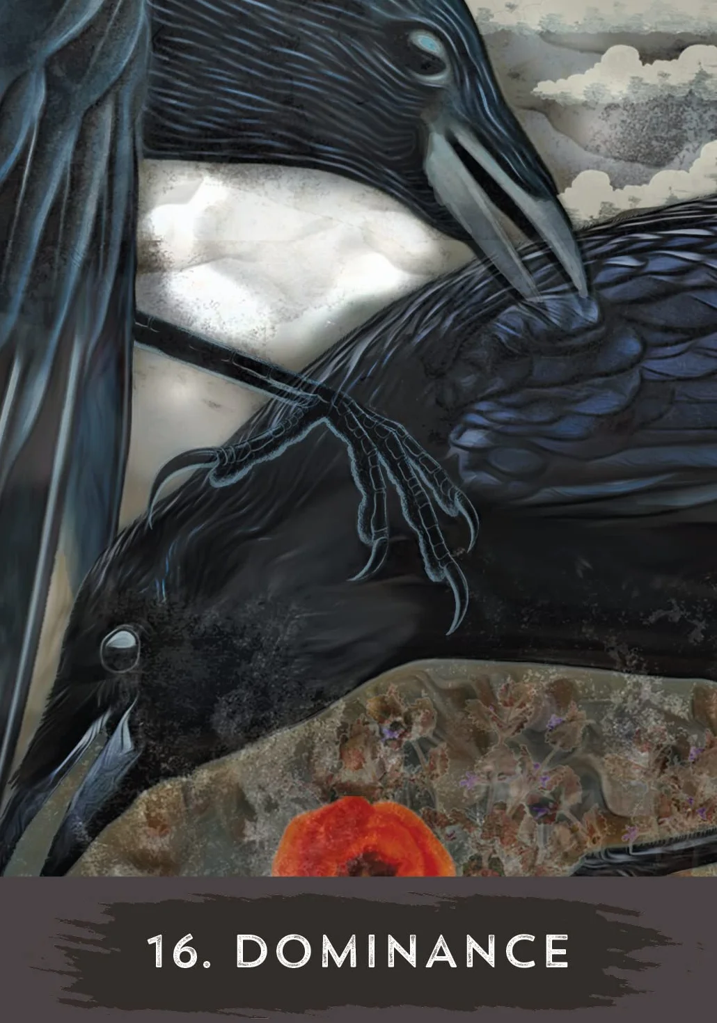 Urban Crow Oracle: A 54-Card Deck and Guidebook
