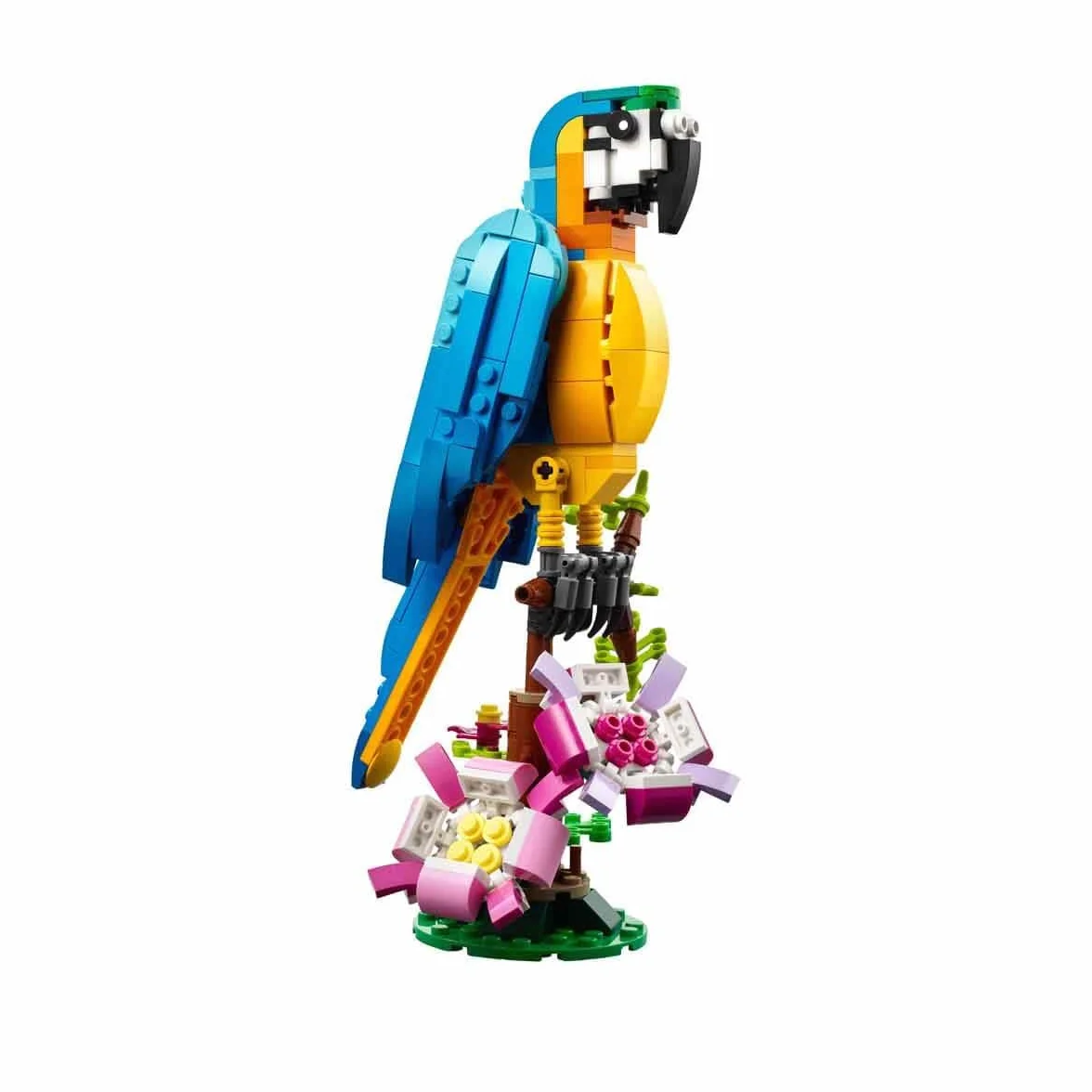 LEGO Creator 3 w 1 Egzotyczna papuga, Figurki Zwierząt z Klocków, Żaba i Ryba, Kreatywna Zabawka dla Dziecka do Budowania, Zestaw Edukacyjny, Prezent dla 7-latka, 31136
