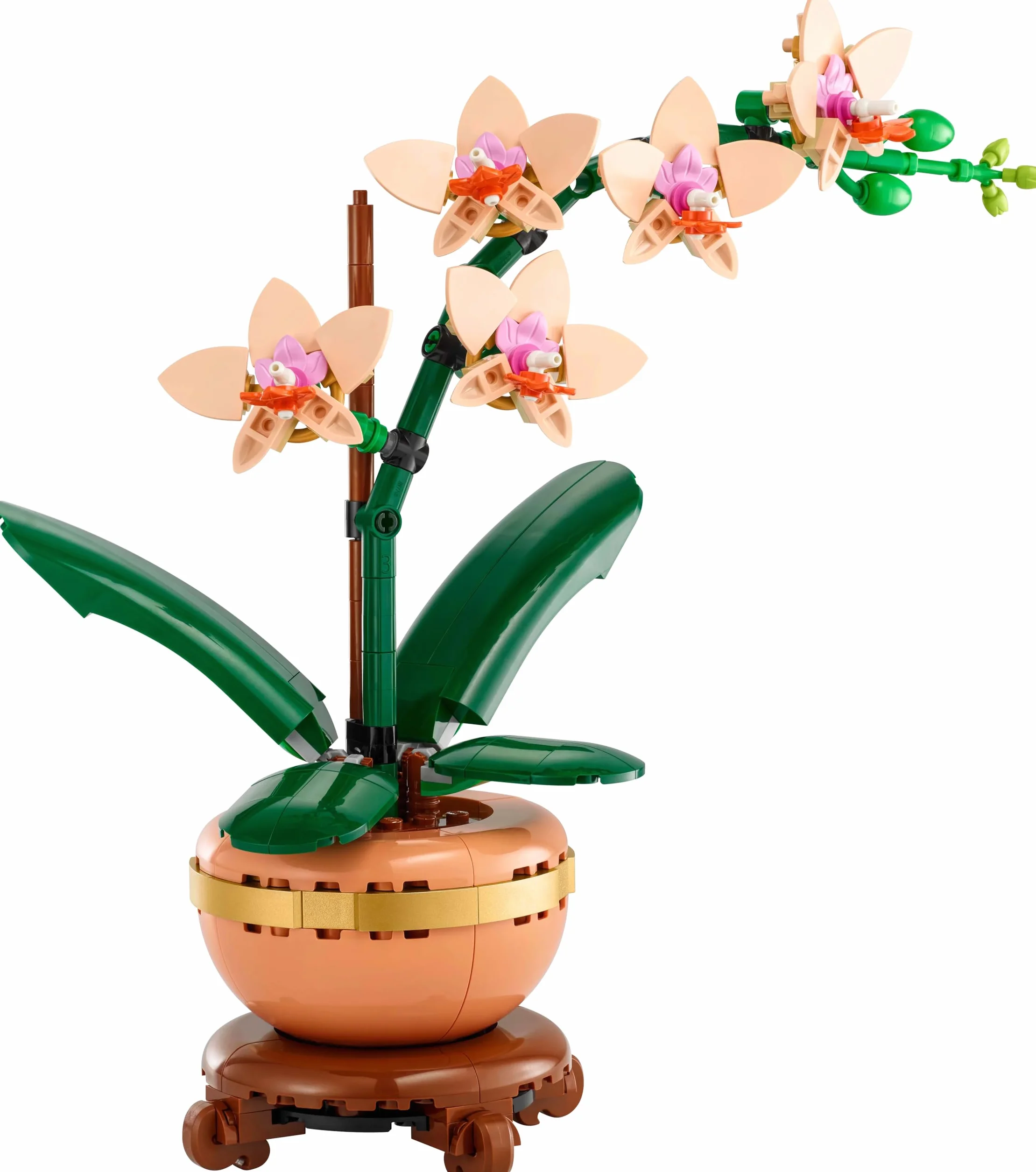 LEGO Botanicals Mała Orchidea, Kreatywny Zestaw dla Dorosłych Miłośników Roślin, Dekoracja do Domu i Biura ze Sztucznym Storczykiem w Doniczce, Pomysł na Prezent dla Kobiety i Mężczyzny, 10343