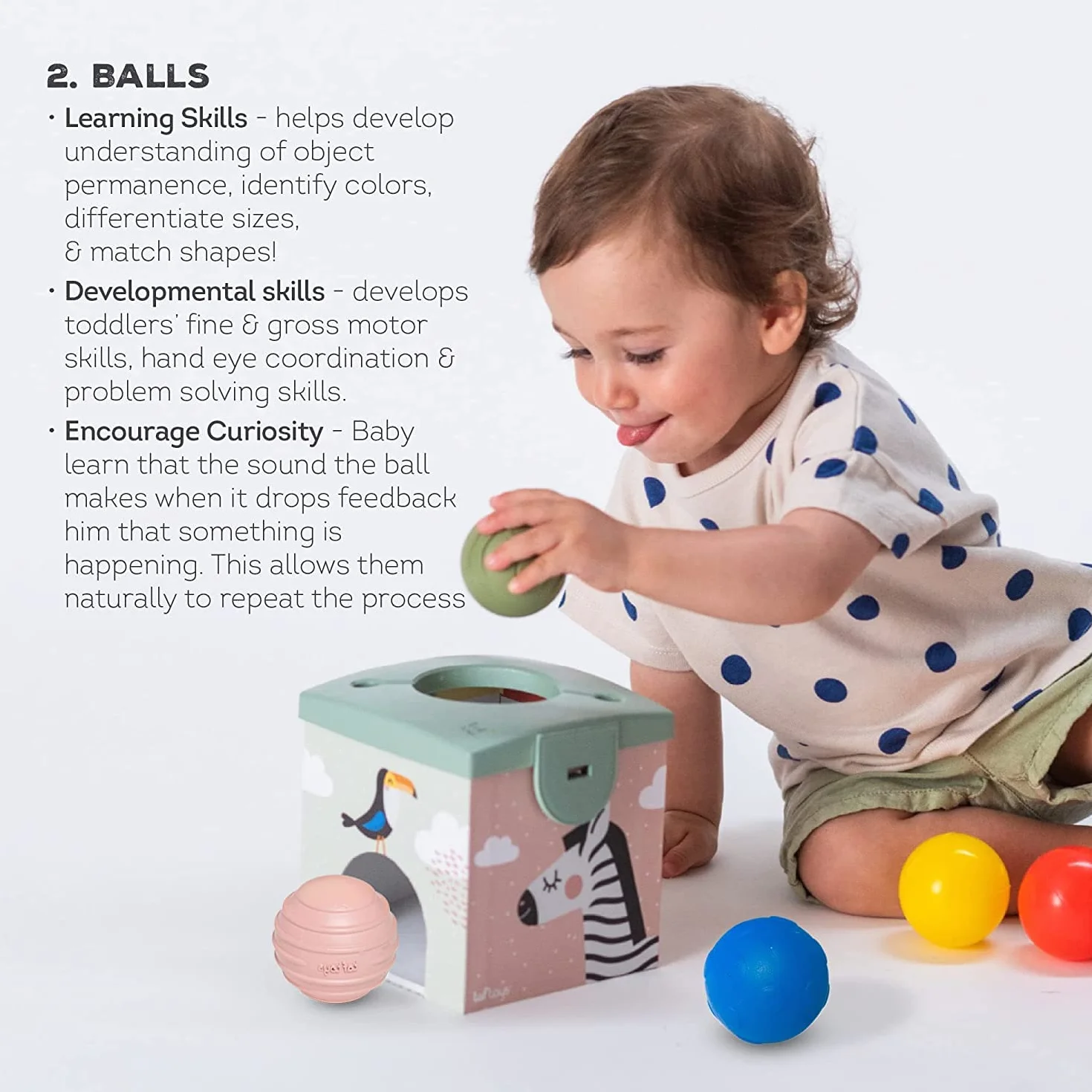 Taf Toys TAF12965 Zabawka Sensoryczna, Wielokolorowy, od 12 m
