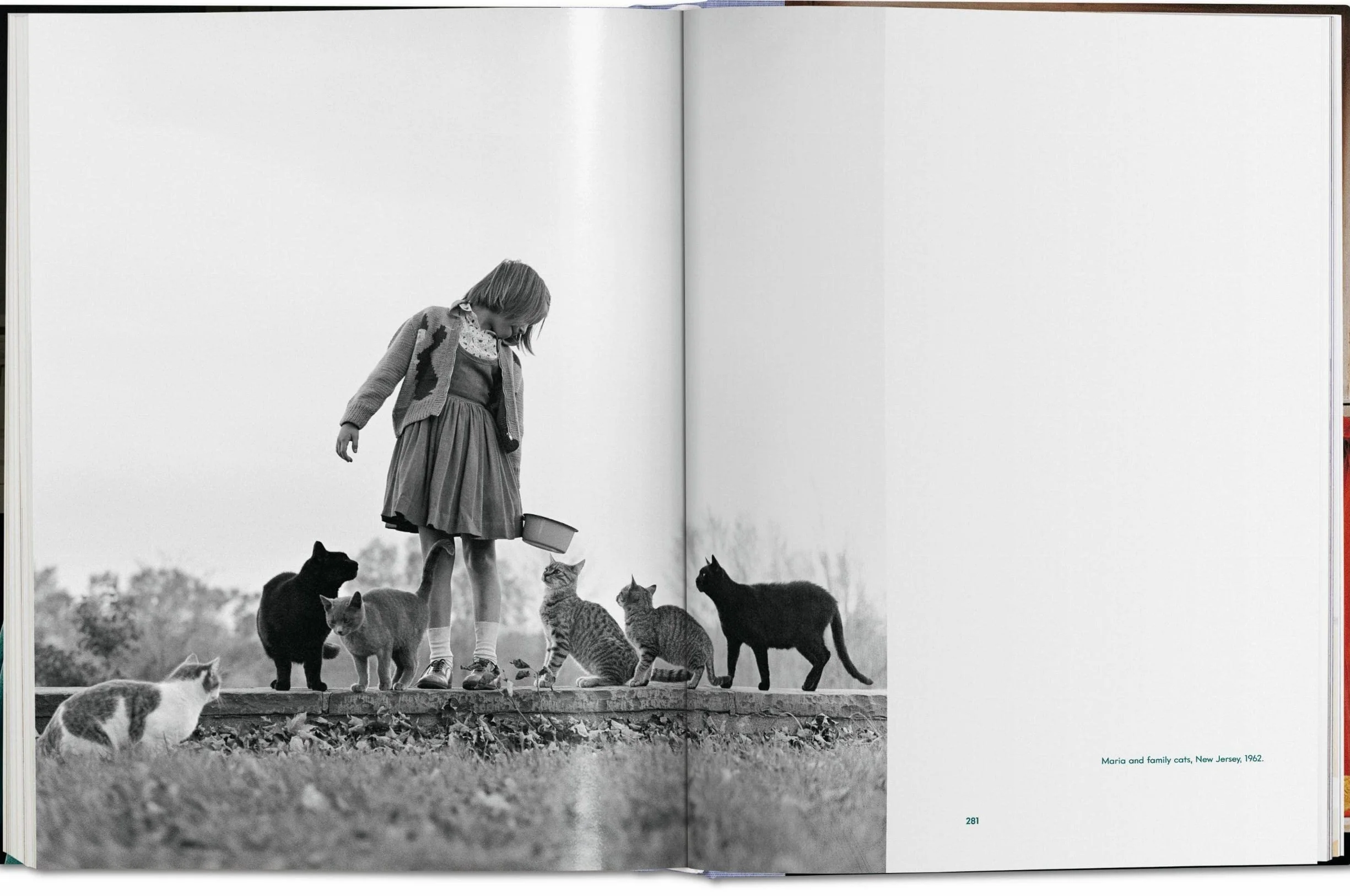 Cats: Photographs (1942-2018)