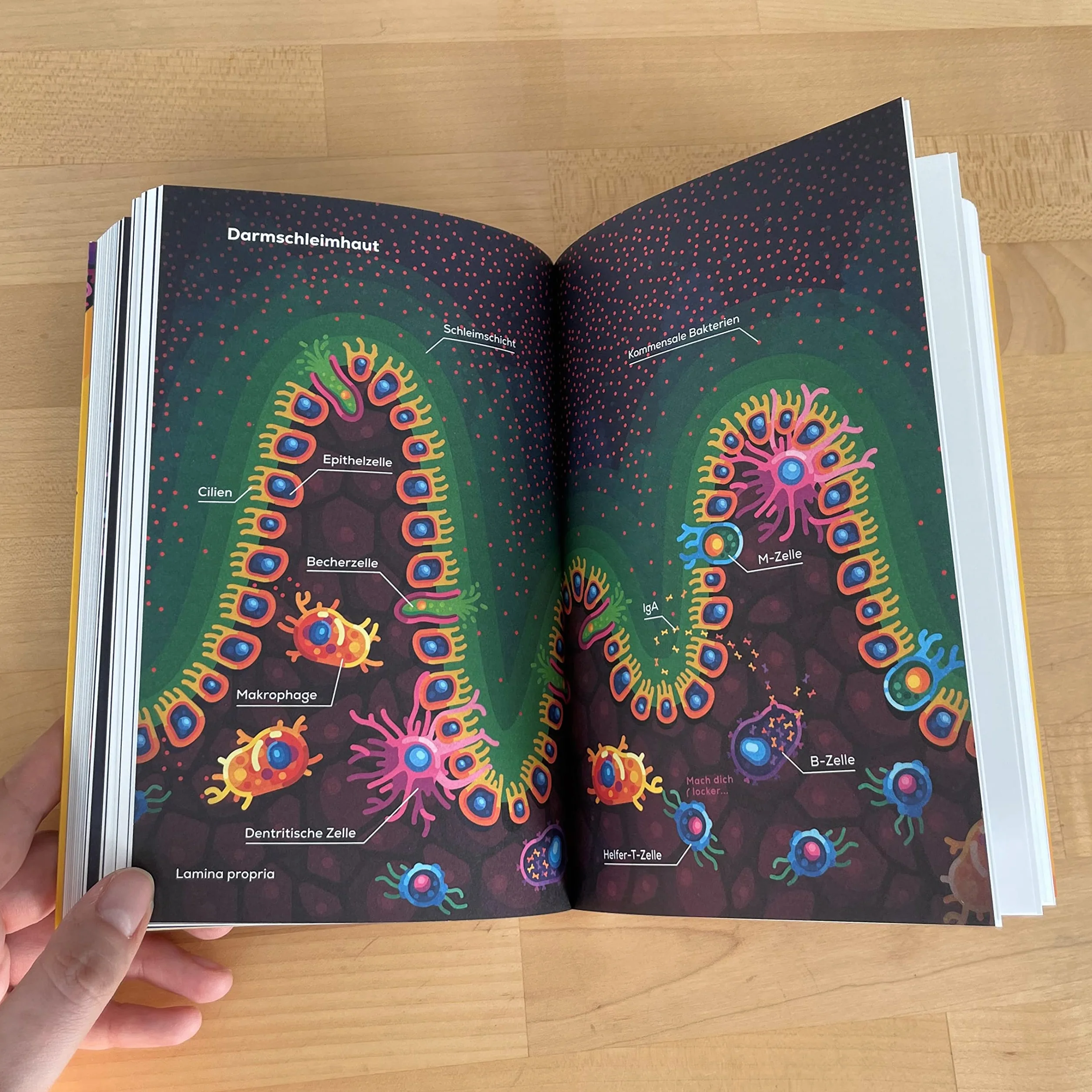 Immun: Alles über das faszinierende System, das uns am Leben hält | Der Nr.1 Bestseller über das Immunsystem vom Macher des beliebten YouTube-Kanals „kurzgesagt“