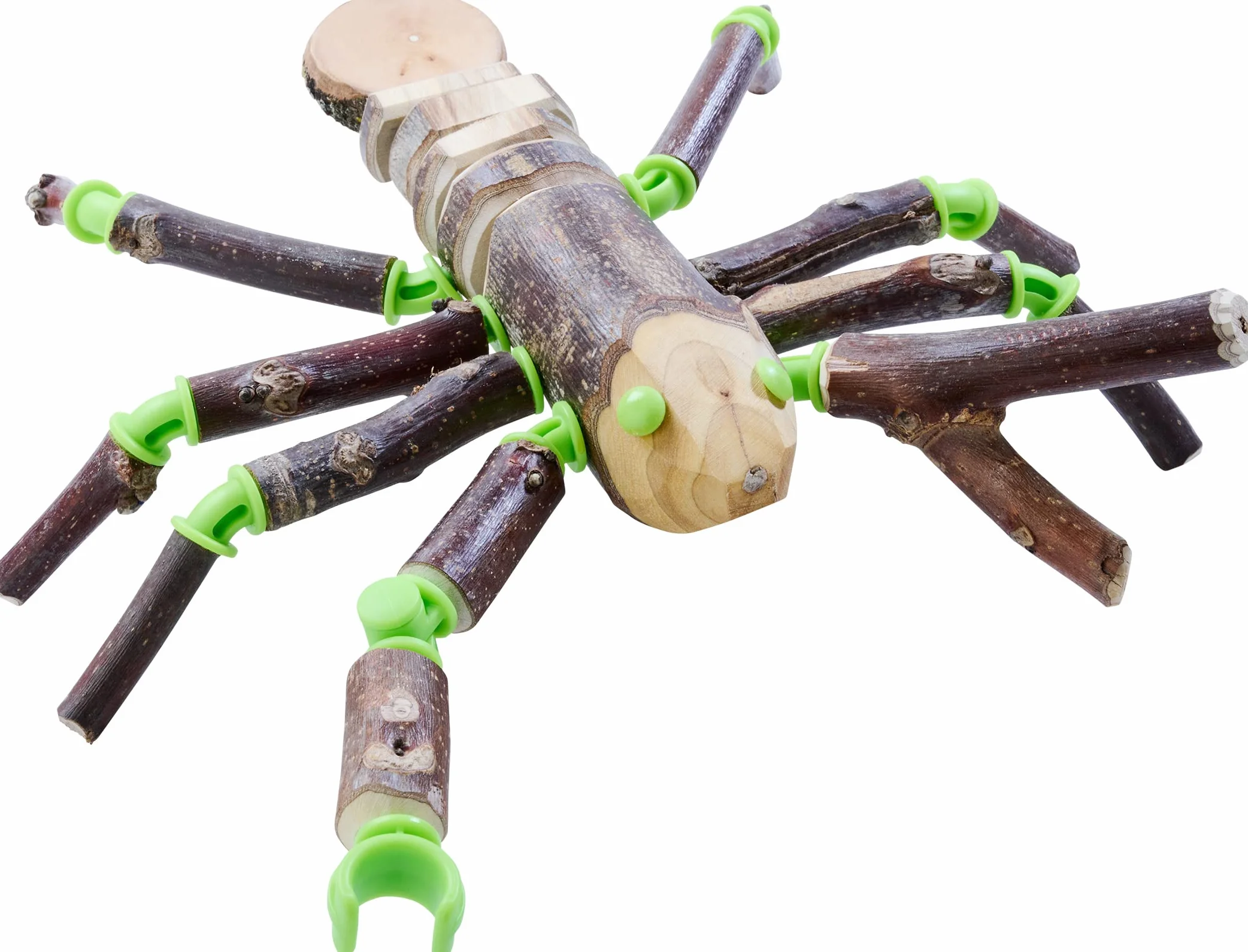 HABA - Terra Kids Connectors - Zestaw podstawowy II - Gra outdoorowa - 8 lat i więcej - 306307, kremowy/jasnobrązowy
