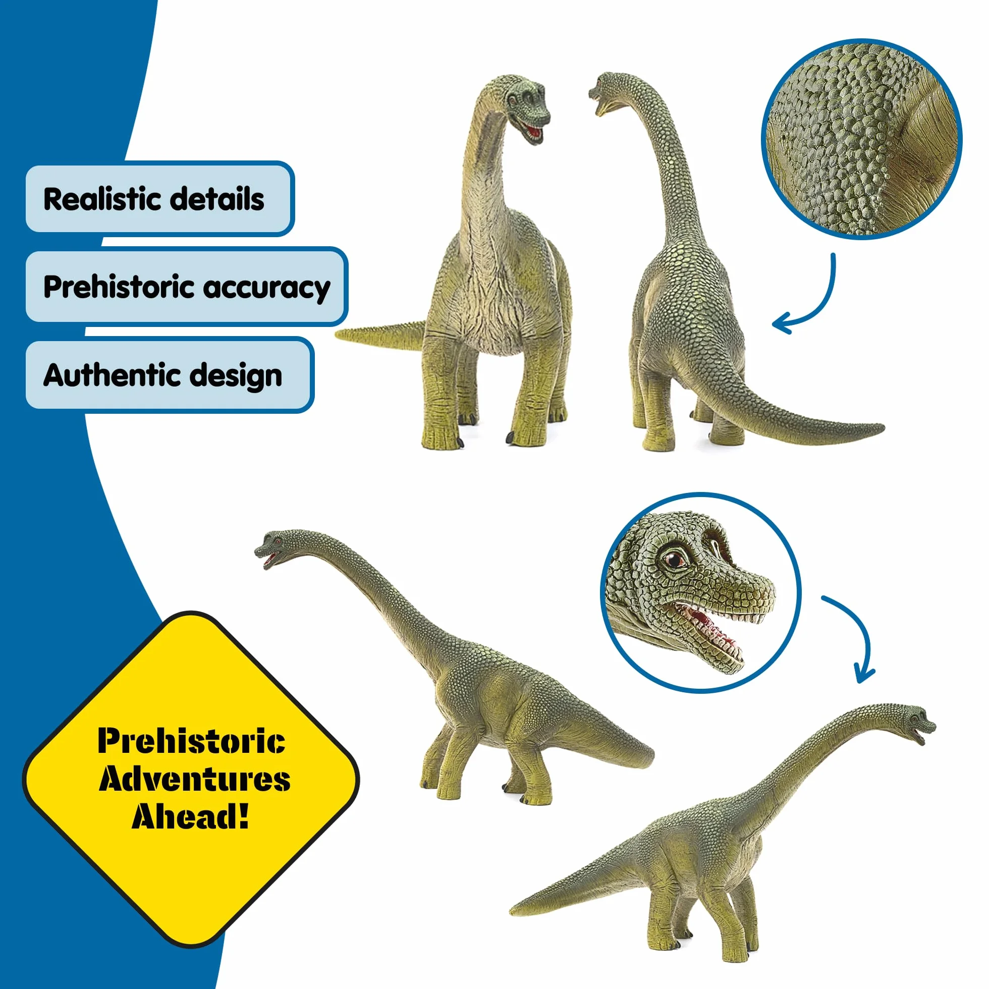 schleich DINOSAURS | Brachiozaur 14581 | Realistyczna figurka schleich Dino | Zabawka dinozaur do kolekcjonowania | Świetny prezent dla dziewczynek i chłopców | Zabawka od 3 lat | 30 x 12 x 19 cm