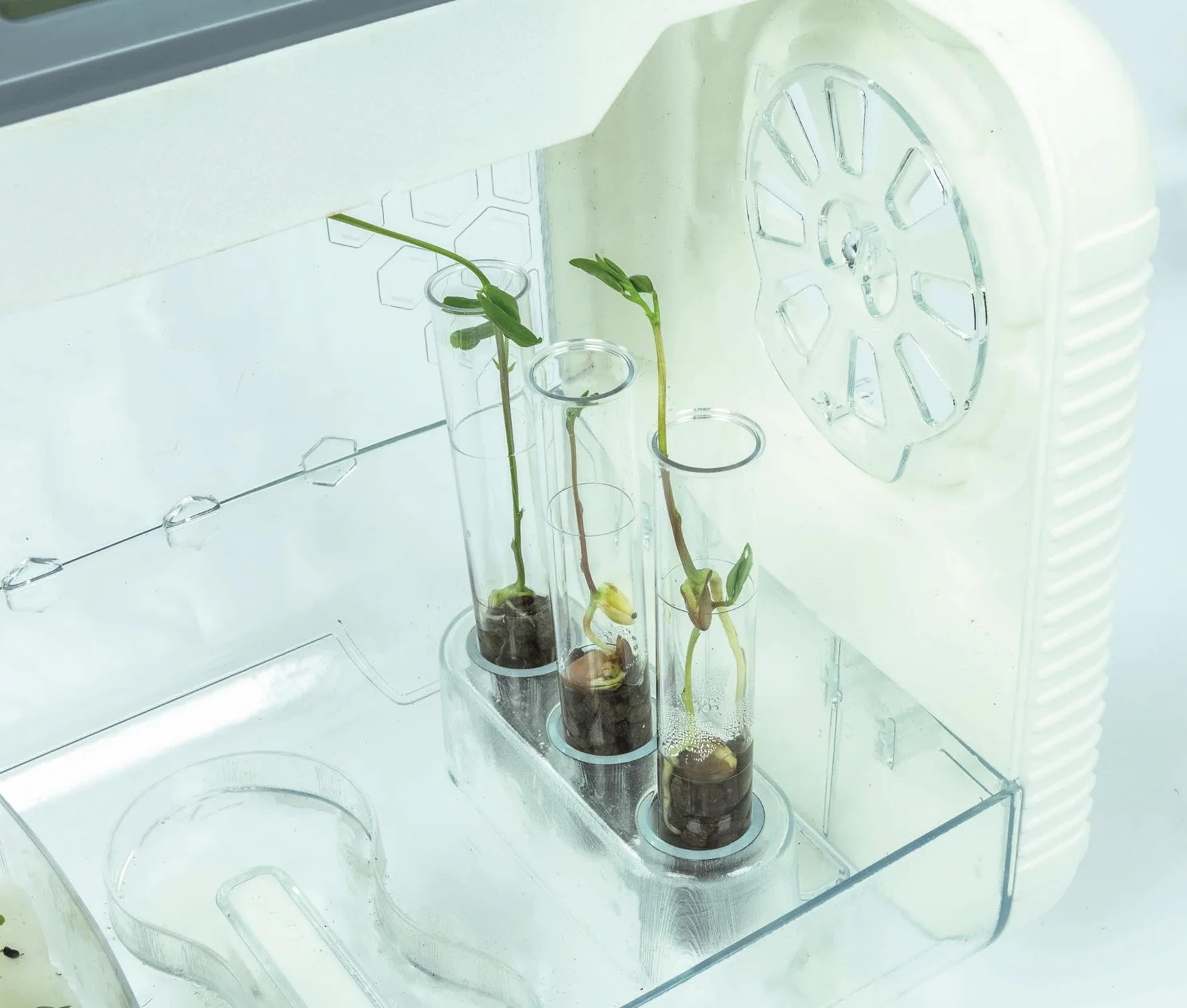 Clementoni Szklarnia technologiczna Zestaw botaniczny dla dzieci Eksperyment ogrodnictwo nauka Kontrola temperatury wilgotność światło Wyświetlacz LCD Wiek 8+