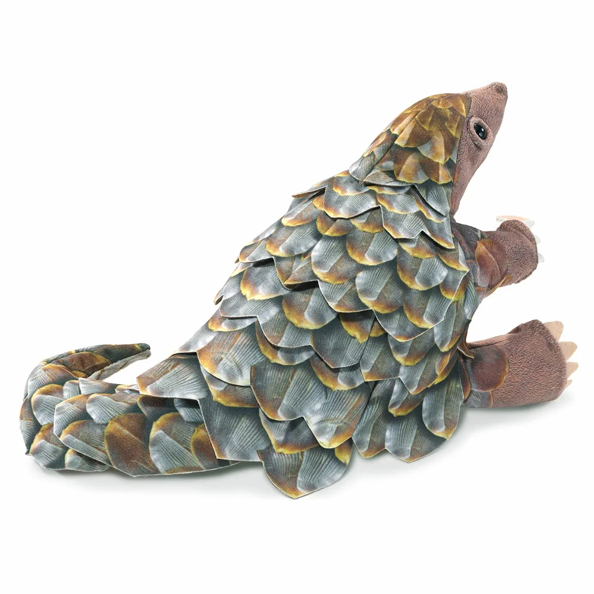 Szyszki jodłowe/pangolin